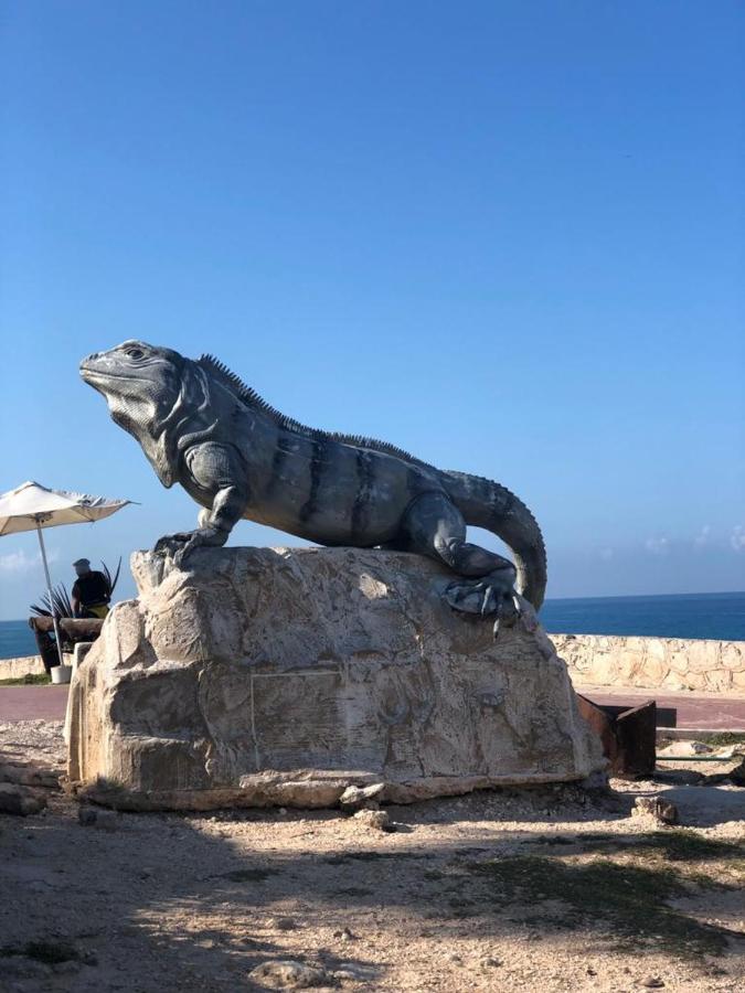 777 Lenderman Hostal 777 Cancún Zewnętrze zdjęcie